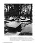 Page: - 59 | Aperture