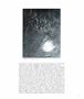 Page: - 41 | Aperture