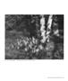 Page: - 67 | Aperture