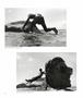 Page: - 81 | Aperture