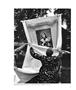Page: - 31 | Aperture