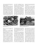 Page: - 71 | Aperture