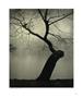 Page: - 143 | Aperture