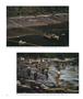Page: - 38 | Aperture