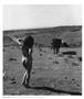 Page: - 84 | Aperture