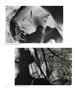 Page: - 76 | Aperture