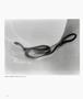 Page: - 14 | Aperture