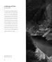 Page: - 48 | Aperture