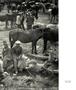 Page: - 39 | Aperture