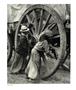 Page: - 41 | Aperture