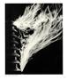 Page: - 44 | Aperture