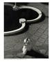 Page: - 69 | Aperture