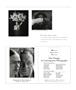 Page: - 101 | Aperture
