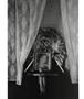 Page: - 62 | Aperture