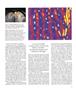 Page: - 73 | Aperture
