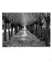 Page: - 10 | Aperture