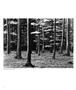 Page: - 11 | Aperture