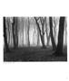 Page: - 12 | Aperture