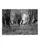 Page: - 15 | Aperture