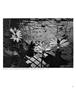 Page: - 58 | Aperture