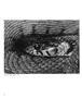Page: - 59 | Aperture