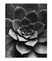 Page: - 61 | Aperture
