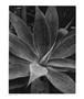 Page: - 63 | Aperture