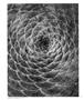 Page: - 64 | Aperture