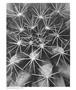 Page: - 65 | Aperture