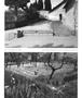 Page: - 33 | Aperture