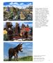 Page: - 31 | Aperture