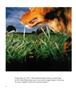 Page: - 52 | Aperture