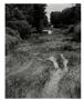 Page: - 26 | Aperture
