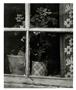 Page: - 71 | Aperture