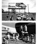 Page: - 35 | Aperture