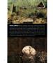 Page: - 54 | Aperture