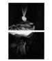 Page: - 29 | Aperture