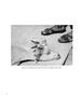 Page: - 44 | Aperture