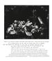 Page: - 52 | Aperture