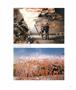 Page: - 41 | Aperture
