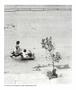 Page: - 43 | Aperture