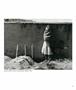 Page: - 61 | Aperture