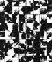Page: - 43 | Aperture