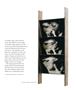 Page: - 59 | Aperture