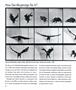 Page: - 12 | Aperture