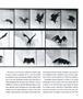 Page: - 13 | Aperture