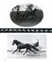 Page: - 16 | Aperture