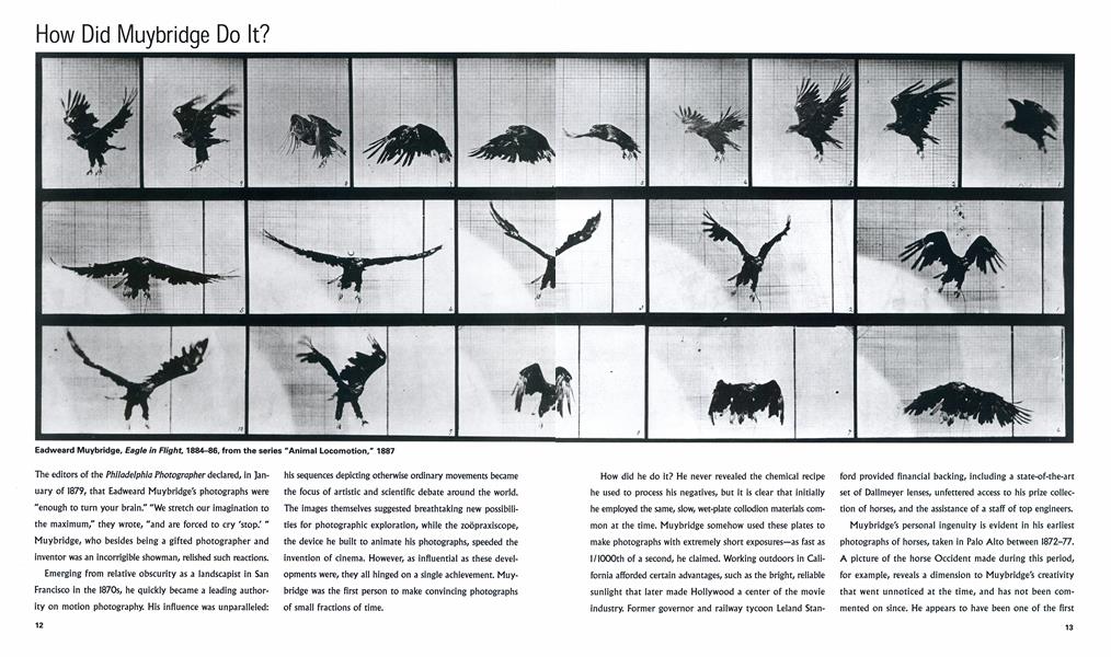 How Did Muybridge Do It?