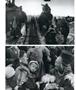 Page: - 36 | Aperture