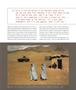 Page: - 11 | Aperture